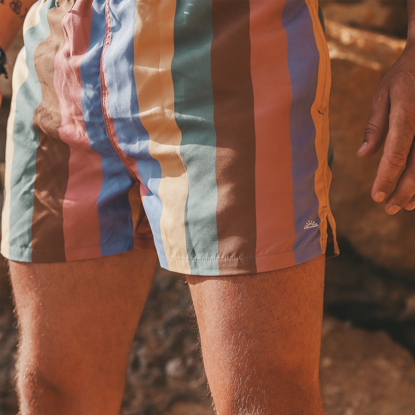 Multi stripe swim shorts dad