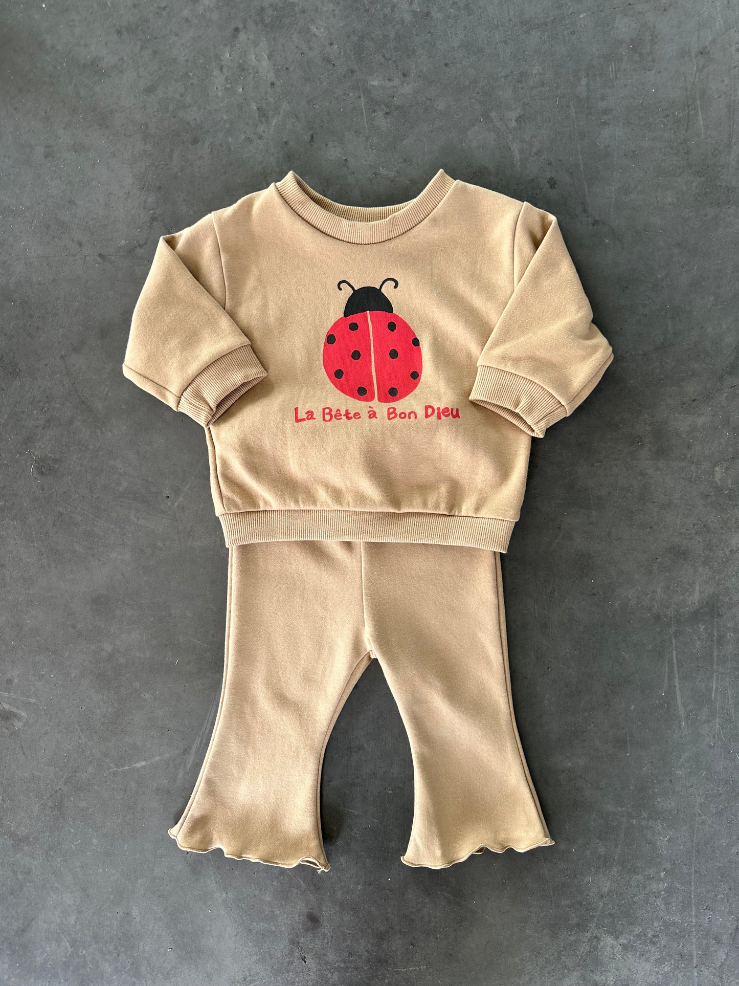 Ladybug Sweatshirt Brown