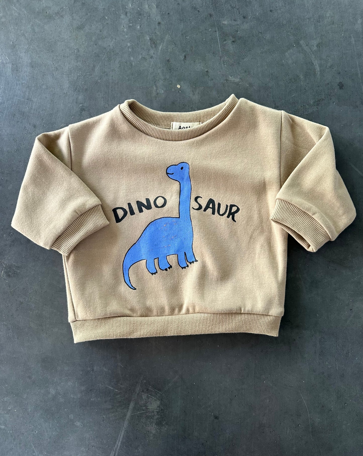 Dino Sweatshirt Brown