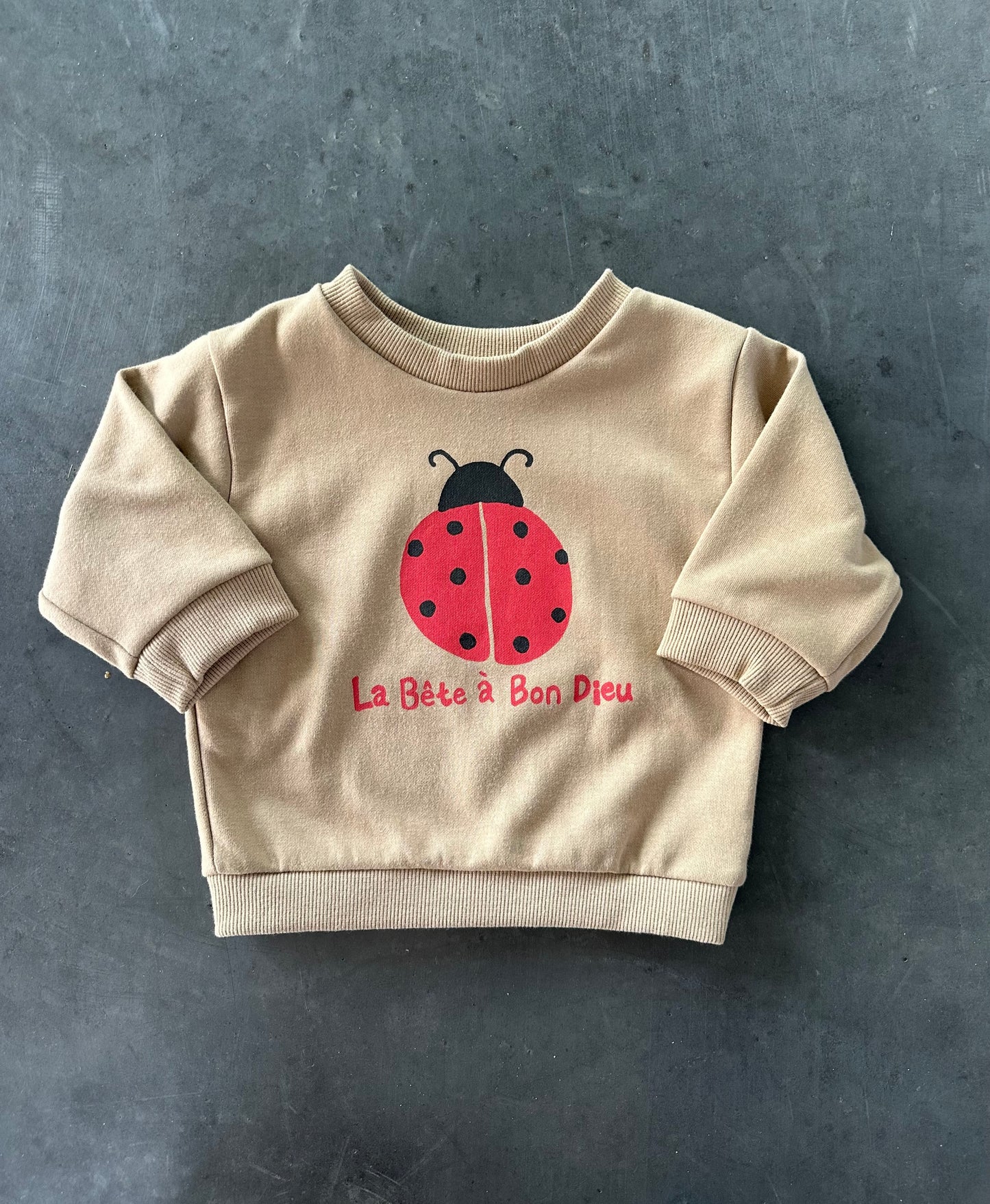 Ladybug Sweatshirt Brown